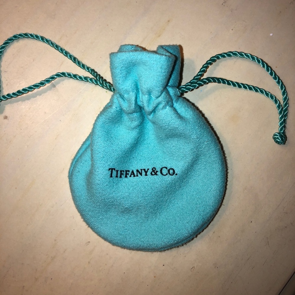 Small Tiffany & Co bag! NOTHING INSIDE!